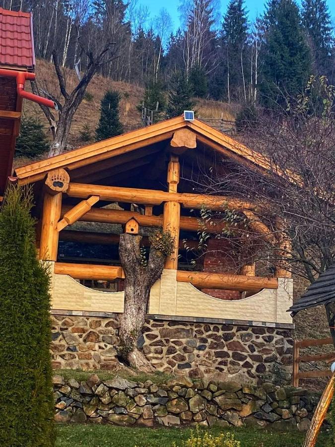 Willa Casa Anghel Bilbor Zewnętrze zdjęcie